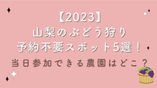 【2023】山梨のぶどう狩り予約不要スポット5選！当日参加できる農園はどこ？