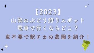 【2023】山梨のぶどう狩りスポット電車で行くならどこ？車不要で駅チカの農園を紹介！