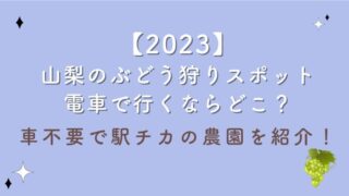 【2023】山梨のぶどう狩りスポット電車で行くならどこ？車不要で駅チカの農園を紹介！