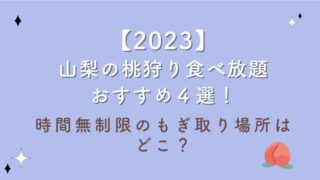 【2023】山梨の桃狩り食べ放題おすすめ４選！時間無制限のもぎ取り場所はどこ？