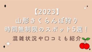 【2023】山形さくらんぼ狩り時間無制限のスポット5選！混雑状況や口コミも紹介