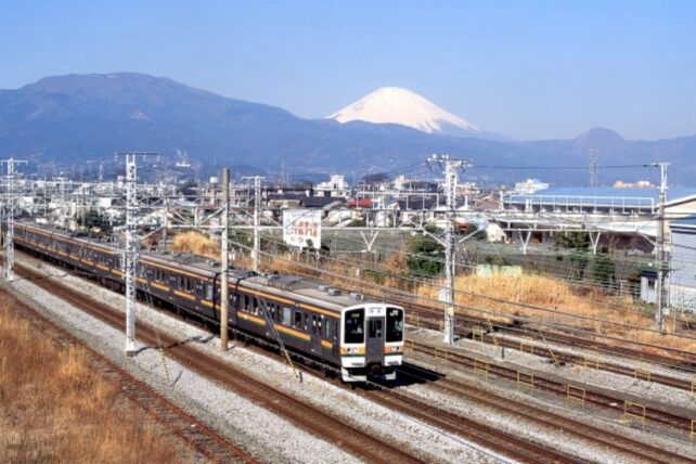 【2023】電車で行ける山梨さくらんぼ狩りスポット5選!駅まで送迎あり?