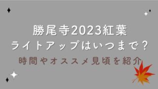 勝尾寺2023紅葉ライトアップはいつまで？時間やオススメ見頃を紹介