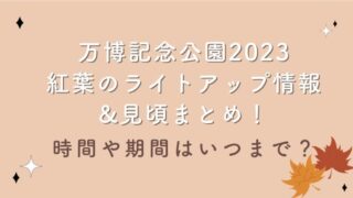 万博記念公園2023紅葉のライトアップ情報&見頃まとめ！時間や期間はいつまで？