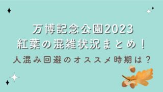 万博記念公園2023紅葉の混雑状況まとめ！人混み回避のオススメ時期は？